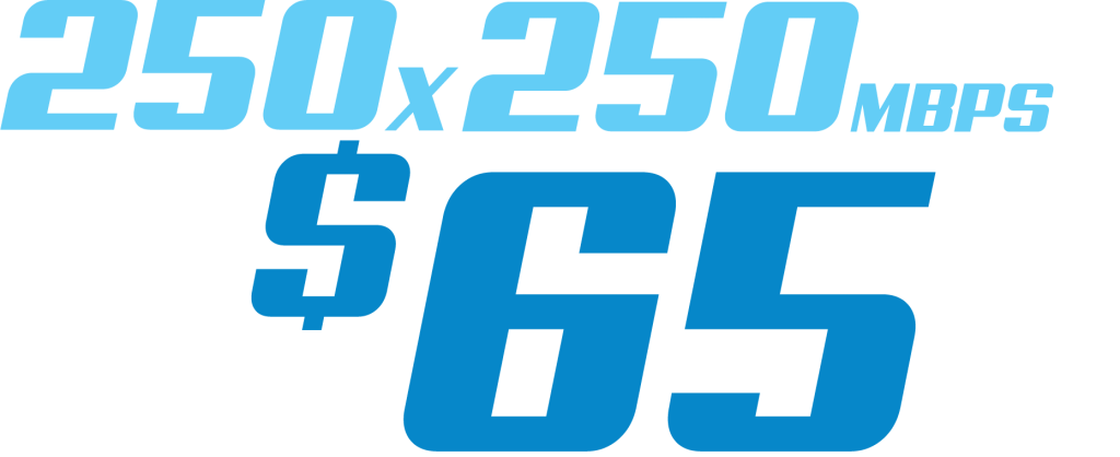 Get Nemont's 250x250 Internet Plan for $65 at the fair!